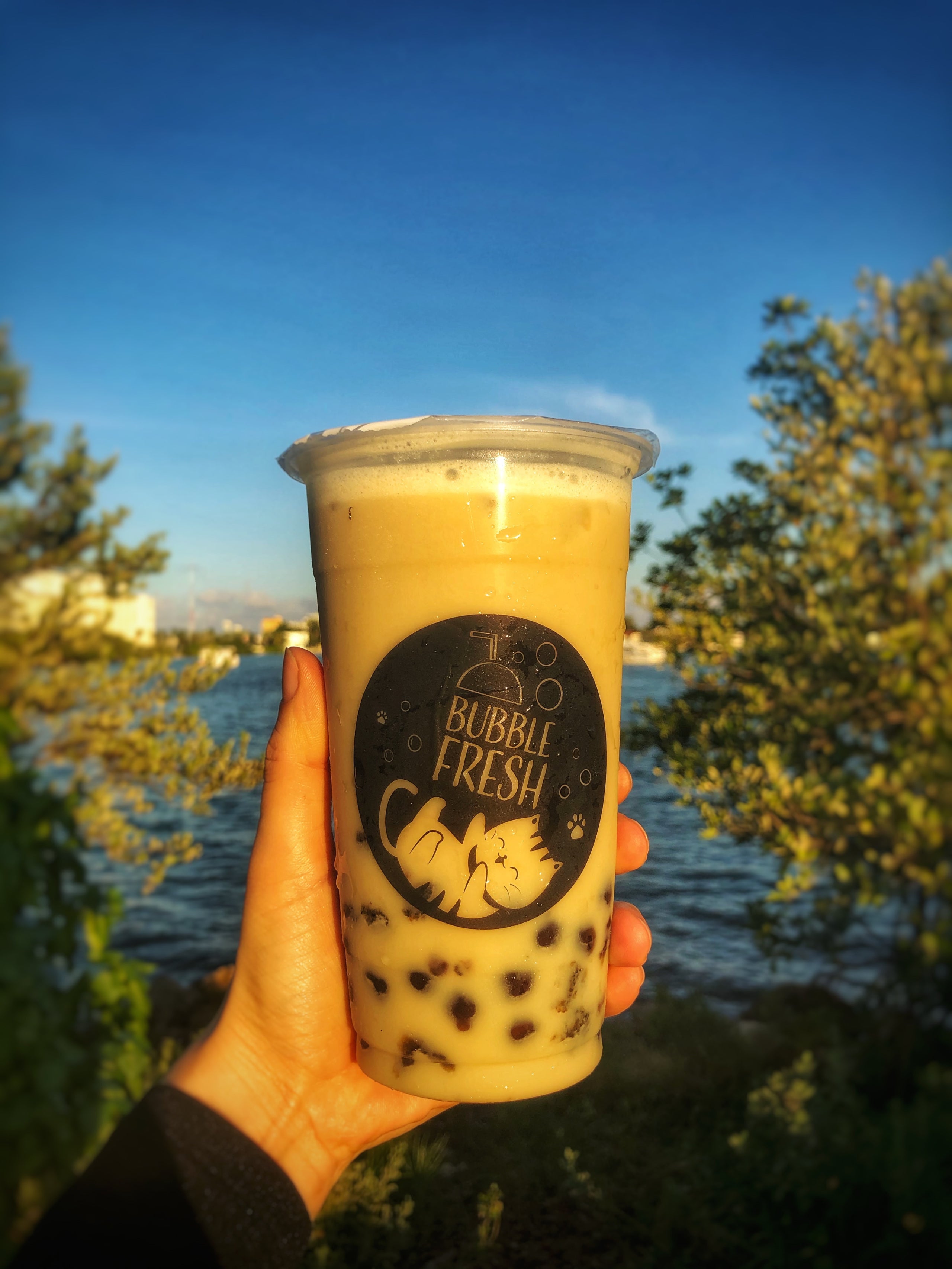 Milk Teas | Midtown Boba | Bubble Tea Store in Tampa, FL